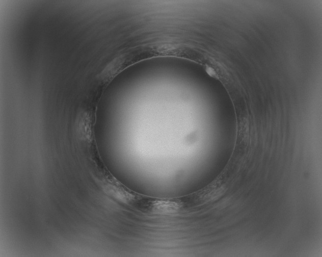 X0000075350234200609081157