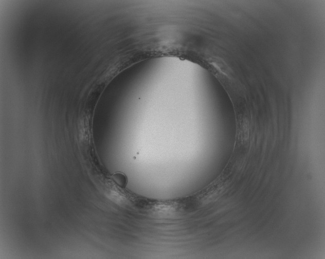 X0000075350236200609081157