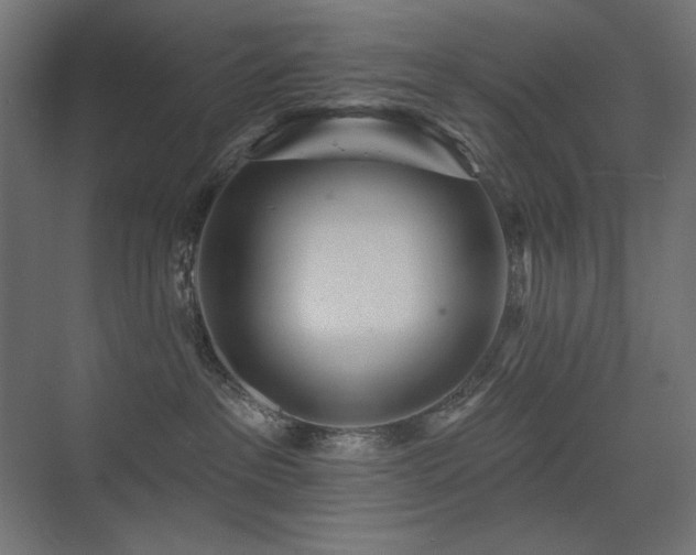 X0000075350237200609081157
