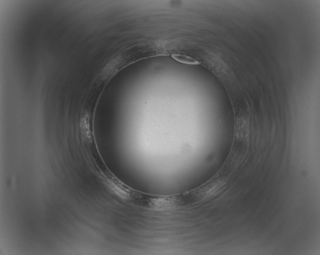 X0000075350238200609081157
