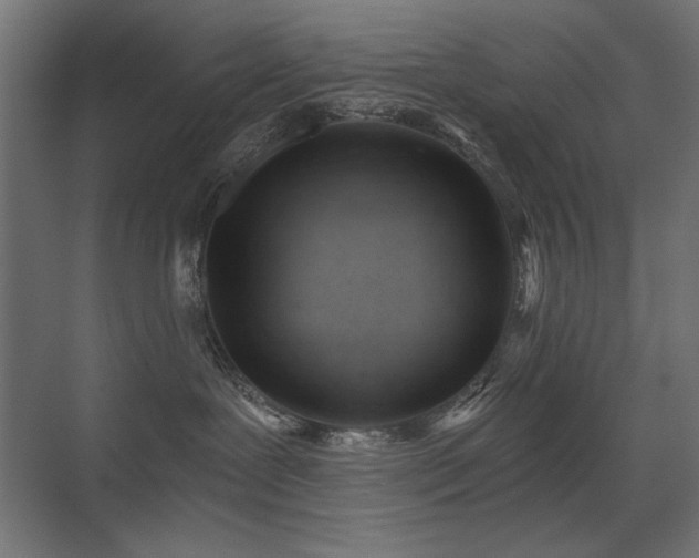 X0000075350239200609081157