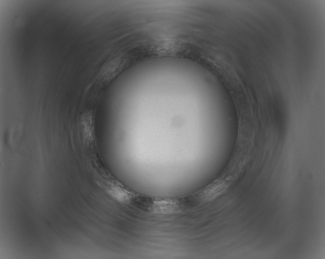 X0000075350240200609081157
