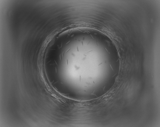 X0000075350241200609081157