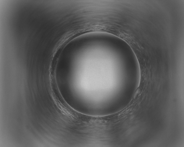 X0000075350242200609081157