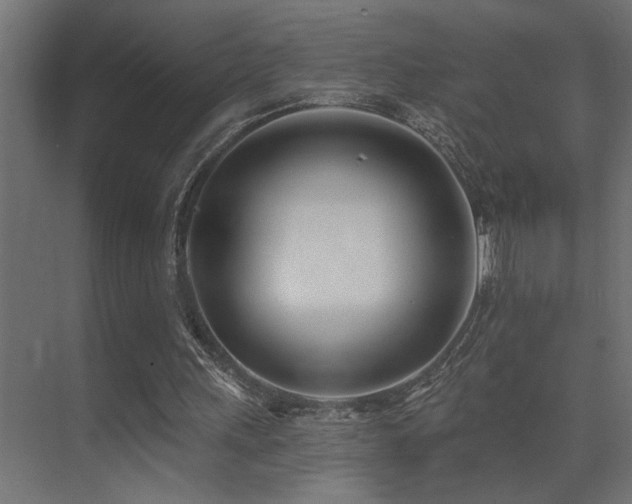 X0000075350243200609081157