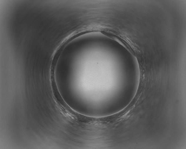 X0000075350244200609081157