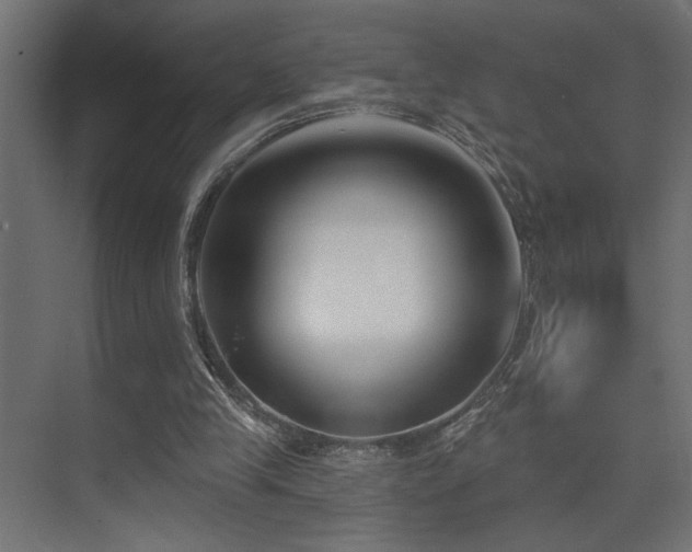 X0000075350245200609081157