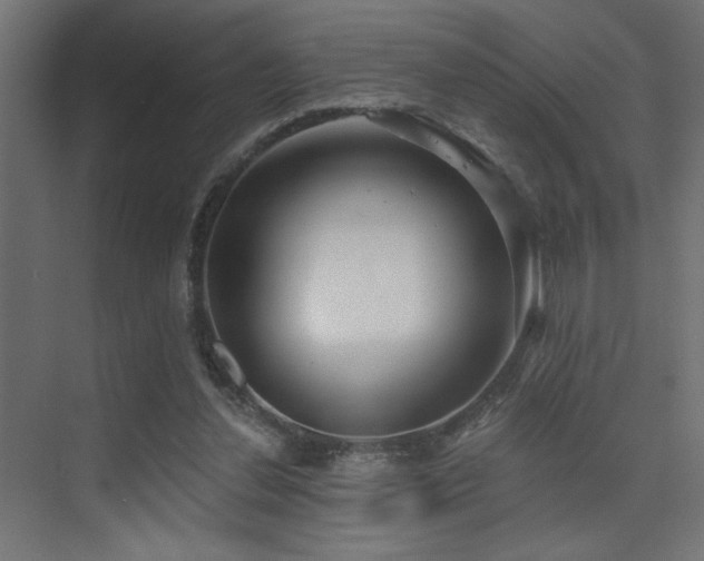 X0000075350252200609081157