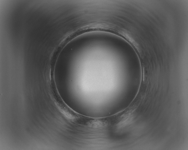 X0000075350253200609081157