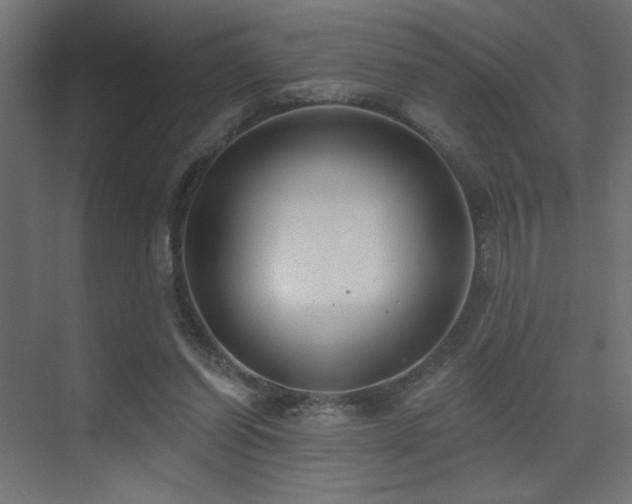 X0000075350254200609081157
