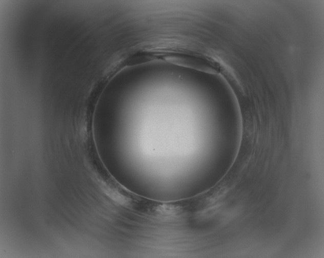 X0000075350261200609081157