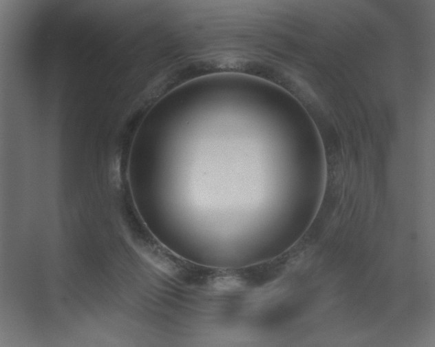X0000075350262200609081157