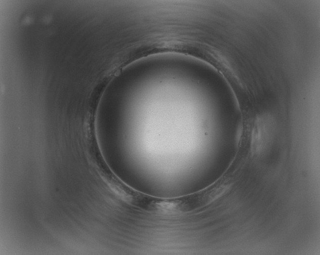 X0000075350265200609081157
