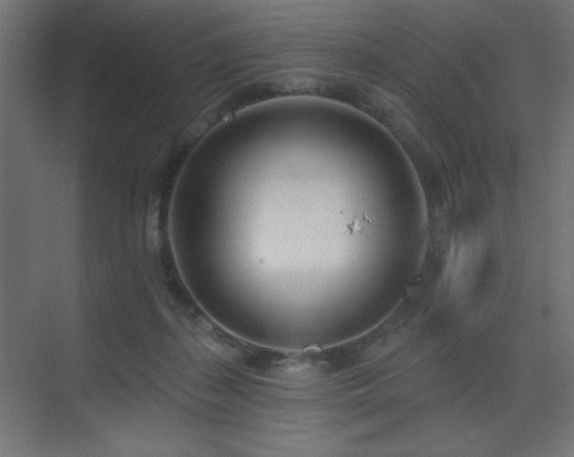 X0000075350267200609081157