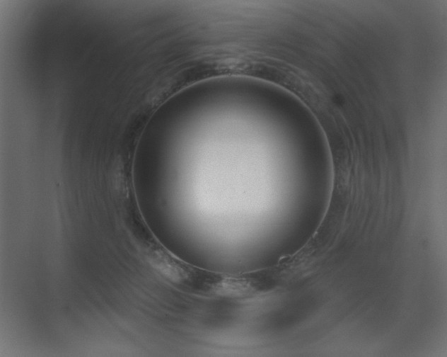 X0000075350270200609081157