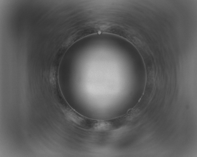 X0000075350274200609081157