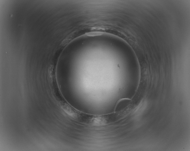 X0000075350275200609081157