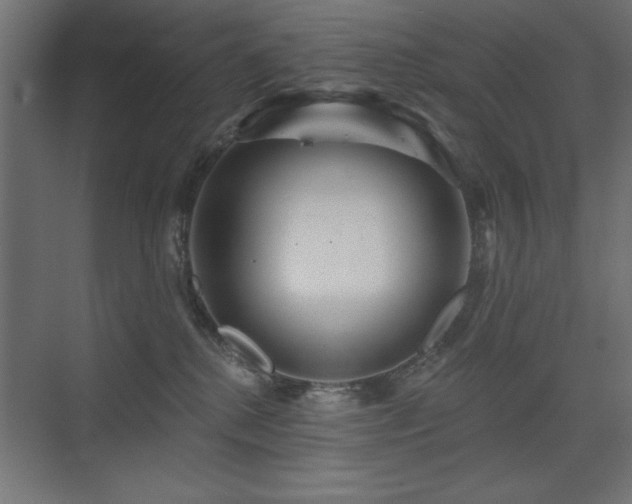 X0000075350280200609081157