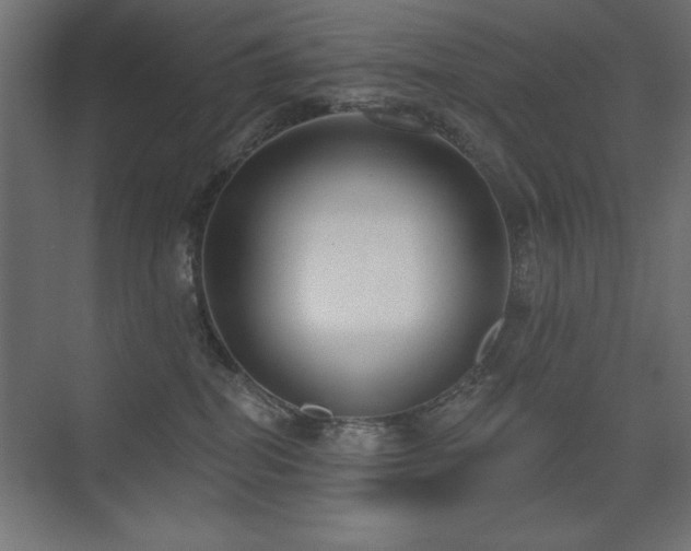 X0000075350282200609081157