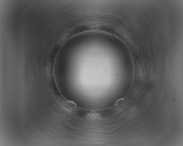 X0000075350283200609081157
