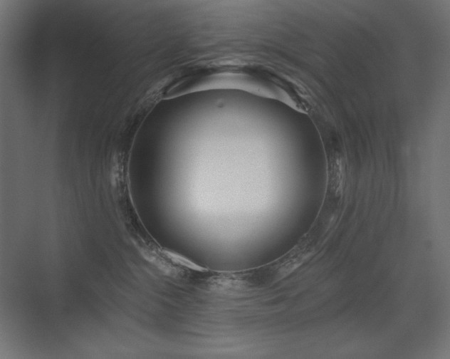 X0000075350284200609081157