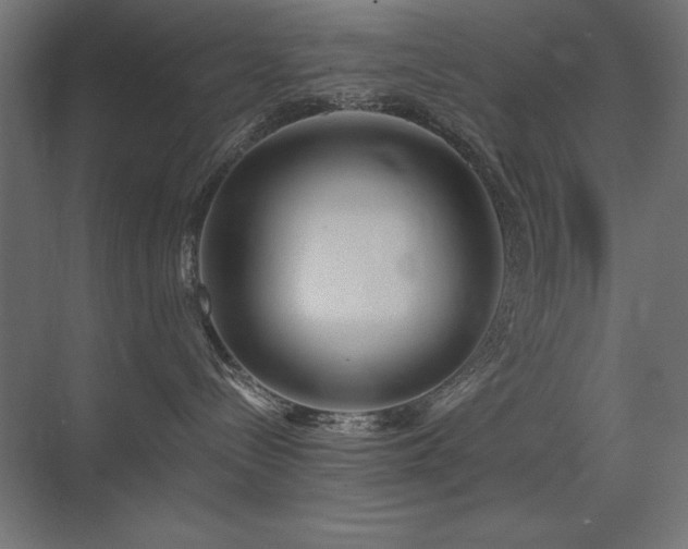 X0000075350288200609081157