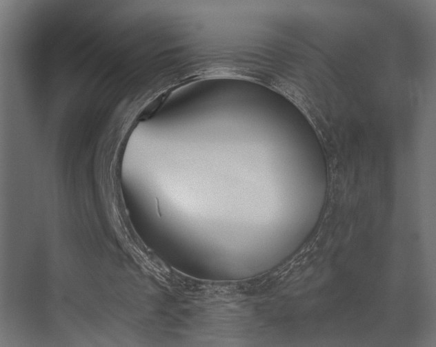 X0000075350289200609081156