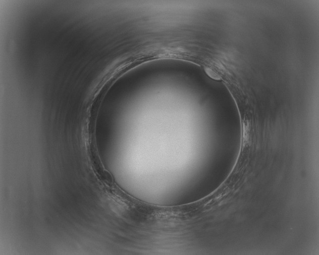 X0000075350291200609081156