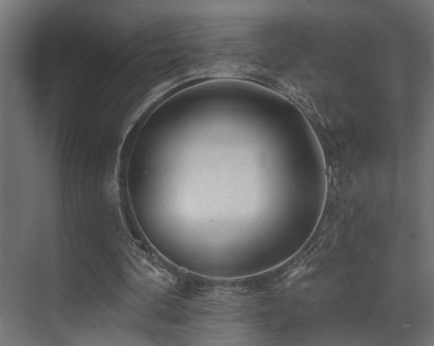 X0000075350292200609081156