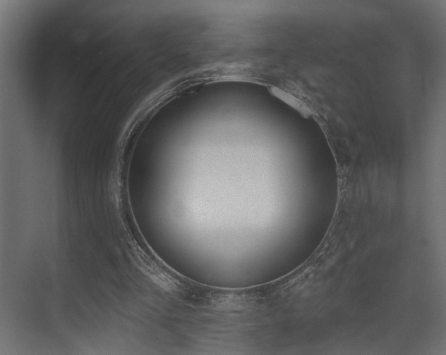 X0000075350293200609081156
