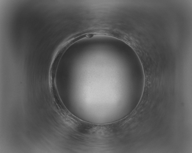 X0000075350294200609081156