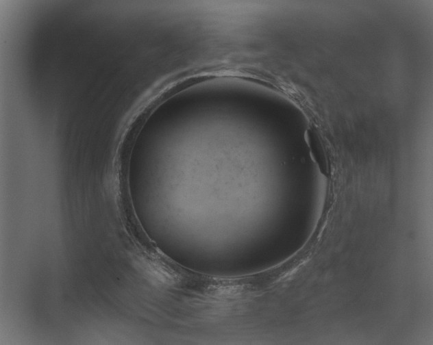 X0000075350295200609081156