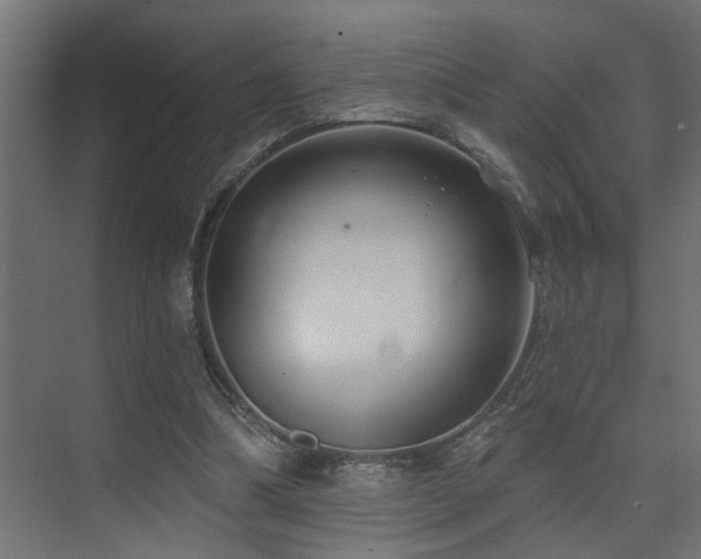 X0000075350298200609081156