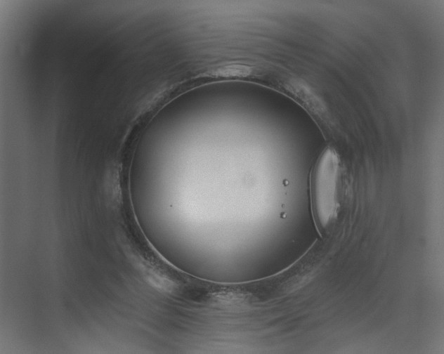 X0000075350300200609081156