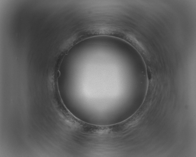 X0000075350306200609081156