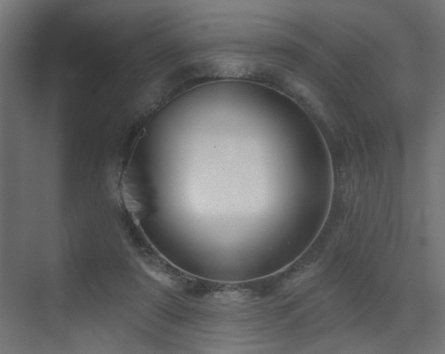 X0000075350307200609081156
