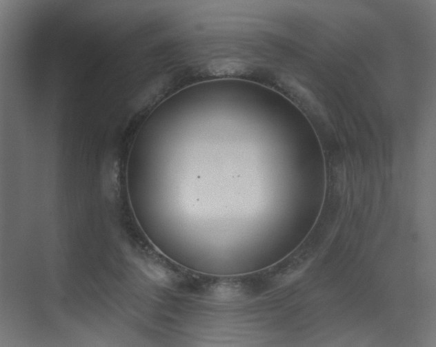 X0000075350308200609081156