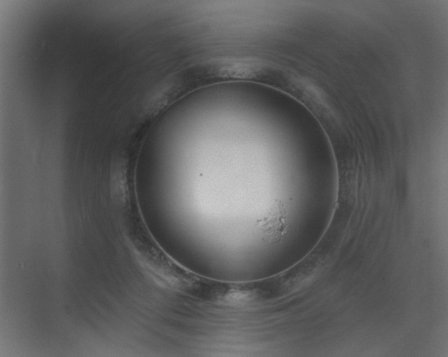 X0000075350312200609081156