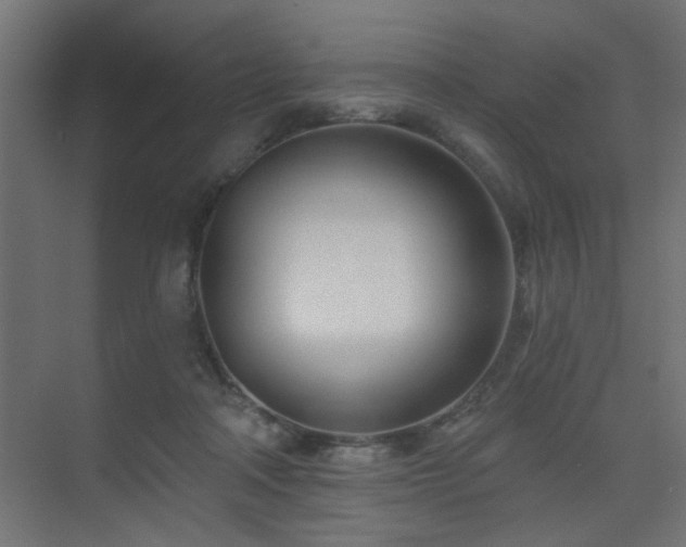 X0000075350314200609081156