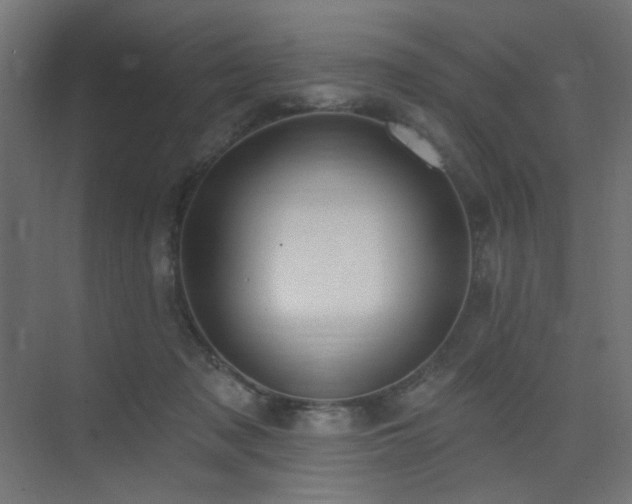 X0000075350317200609081156