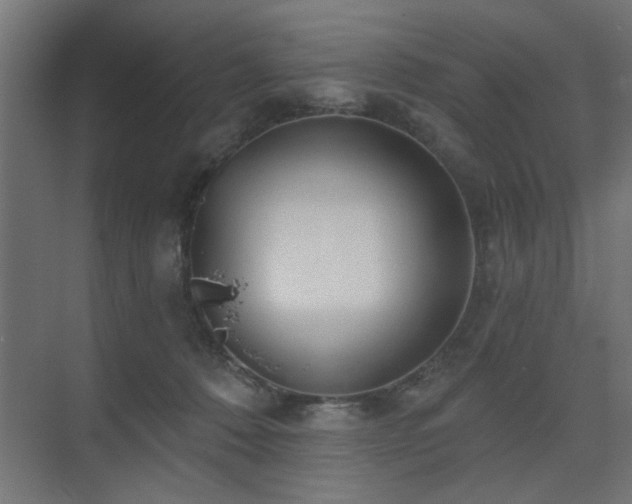 X0000075350320200609081156