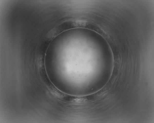 X0000075350323200609081156