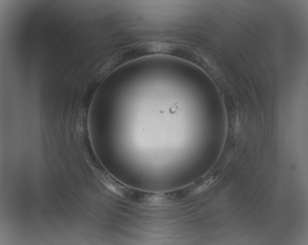 X0000075350325200609081156