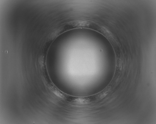 X0000075350326200609081156