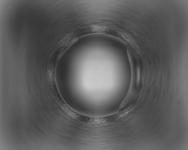 X0000075350329200609081156