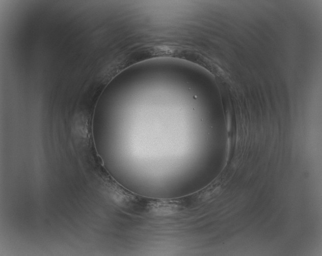 X0000075350331200609081156