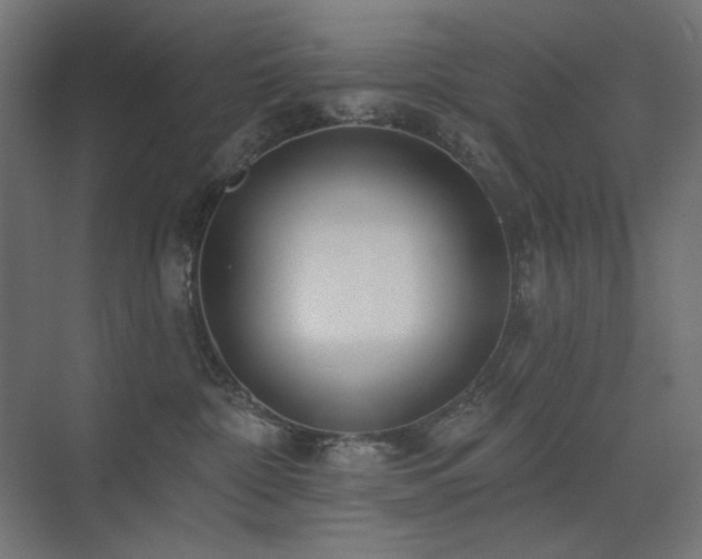 X0000075350332200609081156