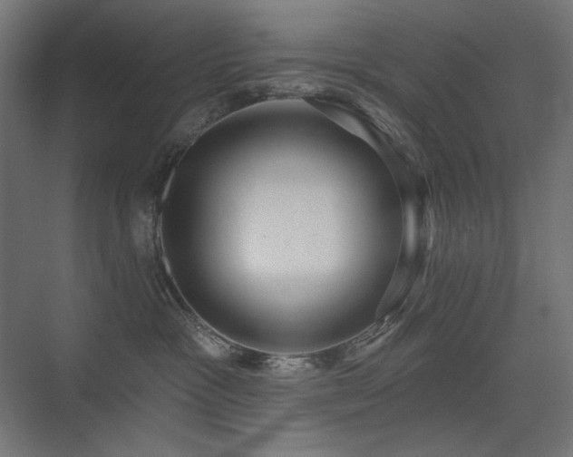 X0000075350333200609081156