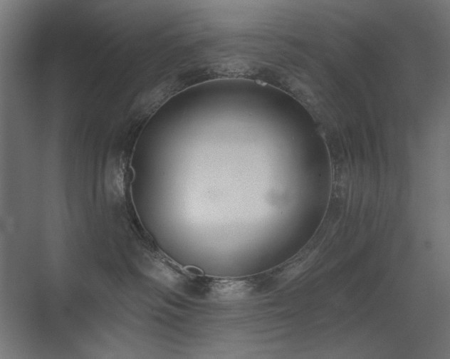 X0000075350334200609081156