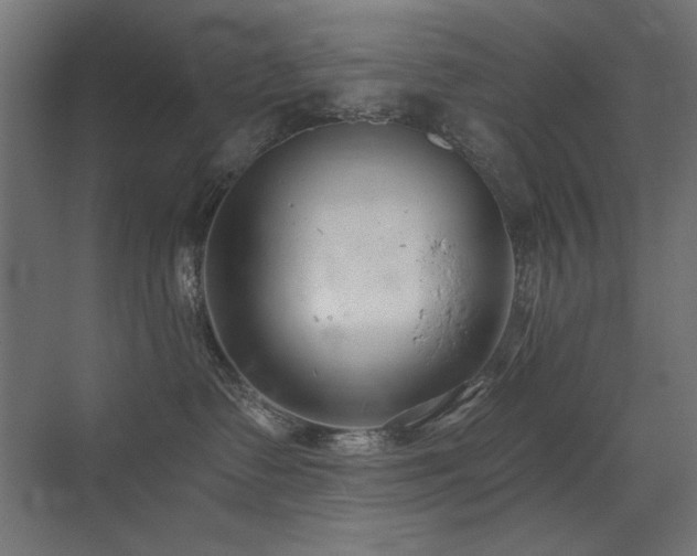 X0000075350335200609081156
